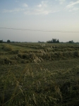 spv_08_038.jpg
