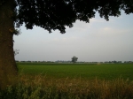 spv_08_044.jpg