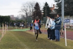 IMG_1482.jpg