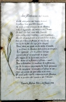 03_02_2008_5_MULINI-roberto_mandelli_-_1046.jpg