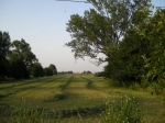 sanz_08_028.jpg
