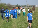 162_6217.jpg