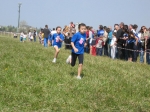 Filename=162_6240.jpg
Filesize=240KiB
Dimensions=1024x768
Date added=Mar 31, 2008 162_6240.jpg