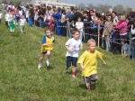 Filename=162_6248.jpg
Filesize=295KiB
Dimensions=1024x768
Date added=Mar 31, 2008 162_6248.jpg