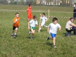 Filename=162_6256.jpg
Filesize=237KiB
Dimensions=1024x768
Date added=Mar 31, 2008 162_6256.jpg