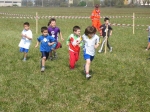 Filename=162_6259.jpg
Filesize=282KiB
Dimensions=1024x768
Date added=Mar 31, 2008 162_6259.jpg