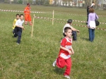 Filename=162_6261.jpg
Filesize=262KiB
Dimensions=1024x768
Date added=Mar 31, 2008 162_6261.jpg