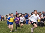 Filename=162_6266.jpg
Filesize=140KiB
Dimensions=1024x768
Date added=Mar 31, 2008 162_6266.jpg
