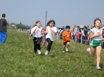 Filename=162_6277.jpg
Filesize=205KiB
Dimensions=1024x768
Date added=Mar 31, 2008 162_6277.jpg