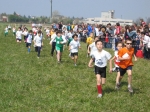 Filename=162_6284.jpg
Filesize=235KiB
Dimensions=1024x768
Date added=Mar 31, 2008 162_6284.jpg