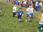 Filename=162_6288.jpg
Filesize=293KiB
Dimensions=1024x768
Date added=Mar 31, 2008 162_6288.jpg