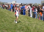 Filename=162_6293.jpg
Filesize=275KiB
Dimensions=1024x768
Date added=Mar 31, 2008 162_6293.jpg