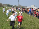 Filename=162_6297.jpg
Filesize=233KiB
Dimensions=1024x768
Date added=Mar 31, 2008 162_6297.jpg