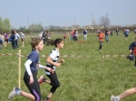 Filename=163_6363.jpg
Filesize=156KiB
Dimensions=1024x768
Date added=Mar 31, 2008 163_6363.jpg