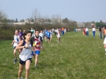 Filename=163_6397.jpg
Filesize=213KiB
Dimensions=1024x768
Date added=Mar 31, 2008 163_6397.jpg