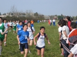 Filename=163_6398.jpg
Filesize=196KiB
Dimensions=1024x768
Date added=Mar 31, 2008 163_6398.jpg