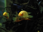 000_0036.jpg