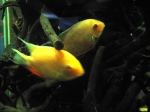 000_0037.jpg