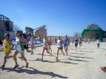 Filename=IM000779.JPG
Filesize=262KiB
Dimensions=1024x768
Date added=Mar 25, 2008 IM000779.JPG