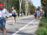 P1020167.JPG
