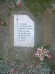 NC_Trezzo_S_Adda_Foto_di_Fausto_Dellapiana0041.jpg