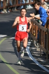 375.jpg