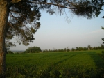vec_08_023.jpg