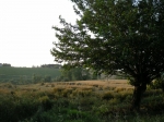 vec_08_024.jpg