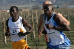 10_02_2008_Verona_Maratonina-roberto_mandelli_-_0172.jpg