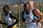 10_02_2008_Verona_Maratonina-roberto_mandelli_-_0173.jpg