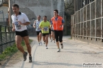 IMG_7784.jpg