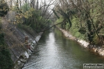 IMG_7937.jpg
