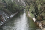 IMG_7939.jpg