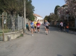 Filename=Vigevano_Half_Marathon_08_021.JPG
Filesize=107KiB
Dimensions=800x600
Date added=Apr 01, 2008 Vigevano_Half_Marathon_08_021.JPG