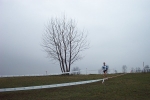 cameri_067.JPG