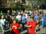 albinea_morselli_2008__064.jpg