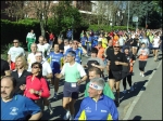 albinea_morselli_2008__065.jpg
