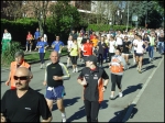 albinea_morselli_2008__066.jpg