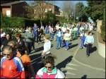 albinea_morselli_2008__072.jpg