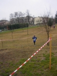 SANY0223.JPG