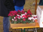 SANY0255.JPG