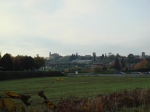 DSC01665.JPG