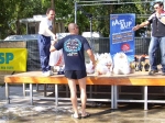 100_3892.jpg