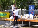 100_3895.jpg