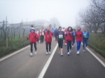 100_1796jpg.jpg
