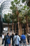 mandelli_NY_011107_67.jpg