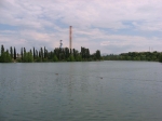 116.jpg