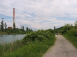 117.jpg