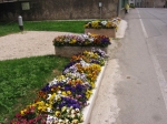 127.jpg