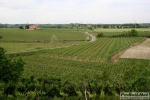 11_05_2008_9a_Maratona_del_Custoza_Sommacampagna_VR-0910.jpg